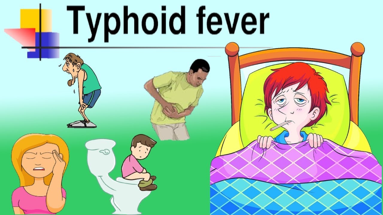 about typhoid in hindi