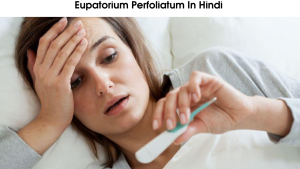 Eupatorium Perfoliatum In Hindi 