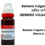 Berberis Vulgaris In Hindi
