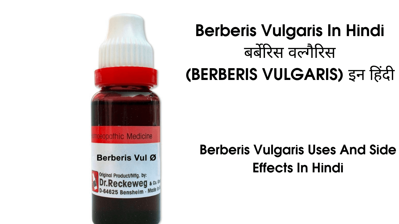 Berberis Vulgaris In Hindi